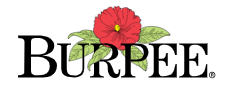Burpee Coupon Codes